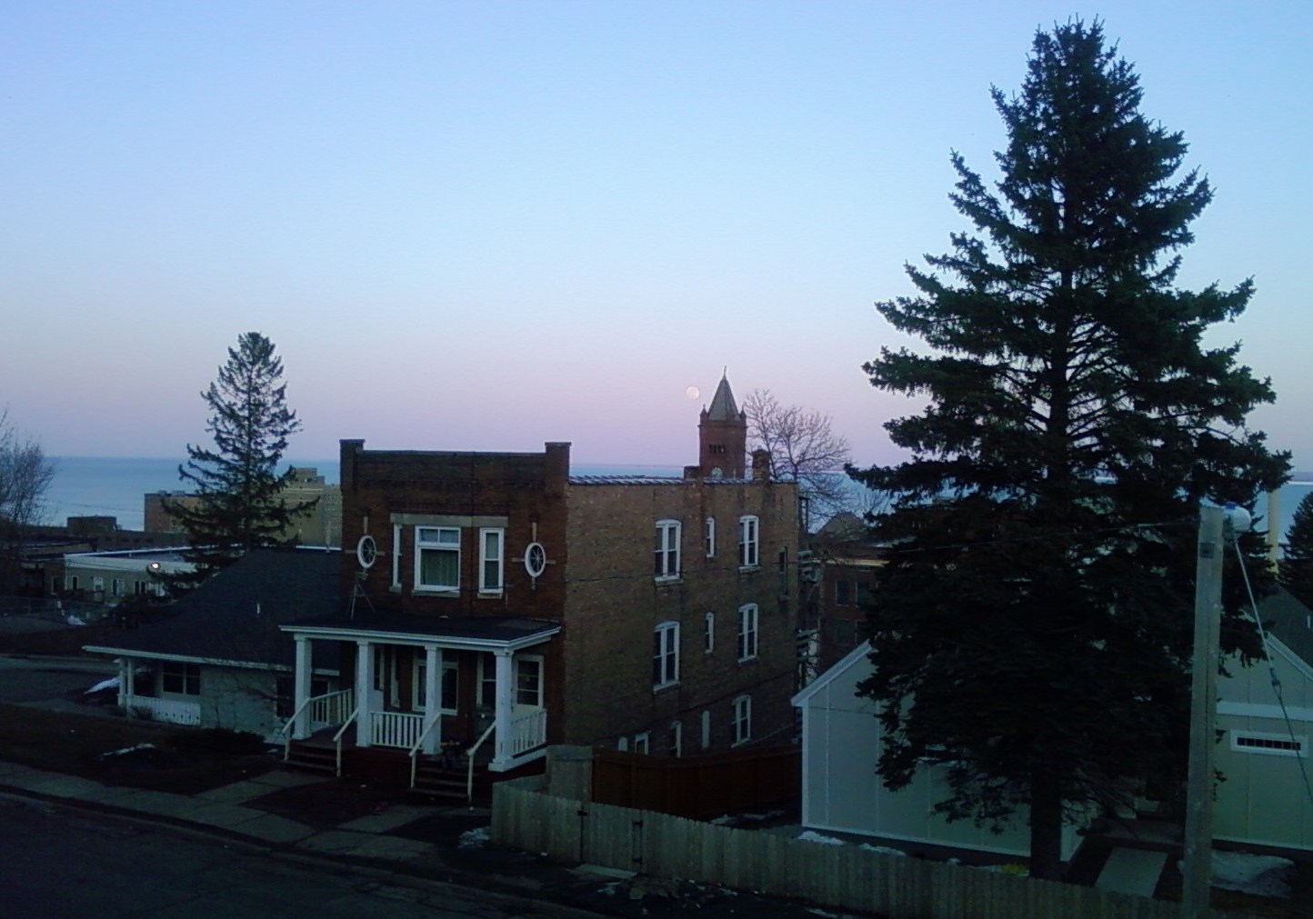 Big Tree in the Hillside, Duluth, MN