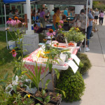 image-market