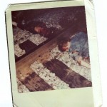 Scan0008845