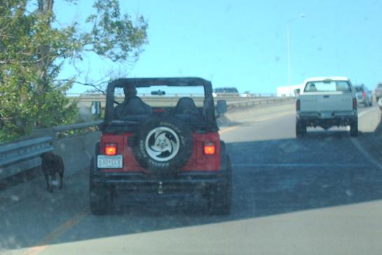 dogononramp