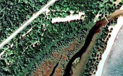 partyllama
