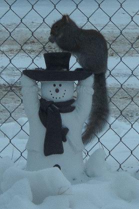 SquirrelAndFrosty2