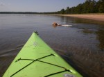 kayaking-the-dog