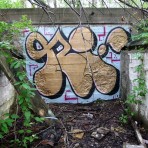 P1000419