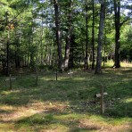bell-cemetery-22