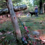 bell-cemetery-44