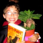 august-harry-potter