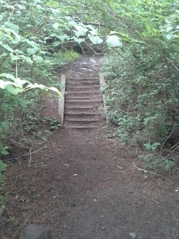 Where in Duluth: Wildwoods Continuing Education Edition (a)