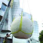 Ark-of-the-Anthropocene-DNT-photo