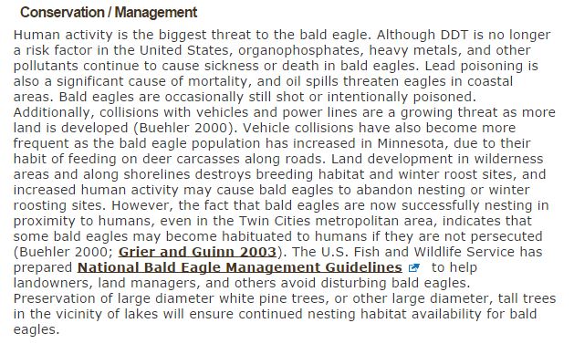 DNR Eagle Capture