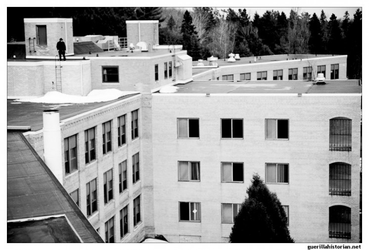 Nopeming Chateau Roof