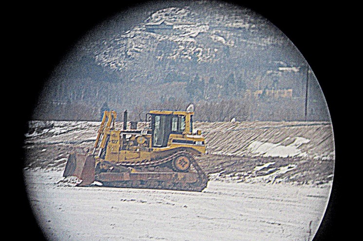 Snowy Owls and Honking House