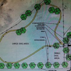 Dog Park at Riley Road