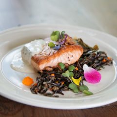 Seared salmon