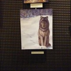 wolfflow1