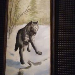 wolfflow3