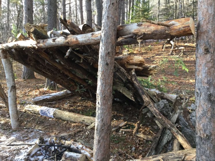 lean-to