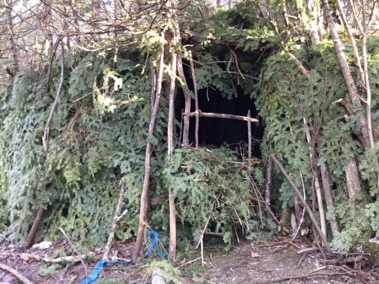 shelter