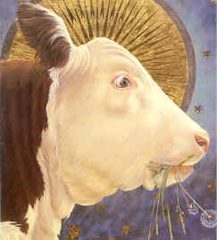 Holy Cow