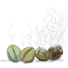 Brian Barber's Coffee Beans