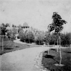Cascade