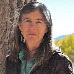 Connie Wanek