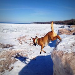 Wilma Wisconsin Point