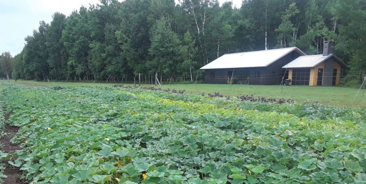 Stone's Throw Farm - Land